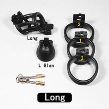 Load image into Gallery viewer, 3D Double-headed Chastity Cage with 3 Rings