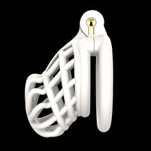 Load image into Gallery viewer, Spine Bone 3D Stegosaurus Chastity Device Kit