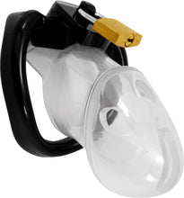 Load image into Gallery viewer, Train Your Man Holy Trainer Chastity Cage