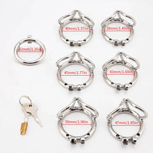 Load image into Gallery viewer, Stainless Steel Balls Chastity Penis Cage