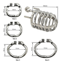 Load image into Gallery viewer, Newest Stainless Steel Male Chastity Device