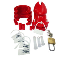 Load image into Gallery viewer, Red Plastic Cage 3.15 inches and 3.94 inches long