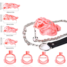 Load image into Gallery viewer, Bullhead Chastity Cage Set