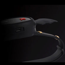 Load image into Gallery viewer, Little Devil Collar