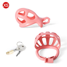 Load image into Gallery viewer, Pink Mamba Chastity Cage With Balls Cage