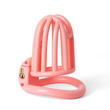 Load image into Gallery viewer, Prison Slave 3D Printed Lightweight Chastity Device