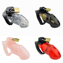 Load image into Gallery viewer, Train Your Man Holy Trainer Chastity Cage