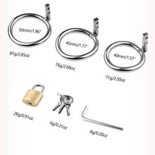 Lade das Bild in den Galerie-Viewer, Bondage-Keuschheitskäfig aus Edelstahl mit Nieten