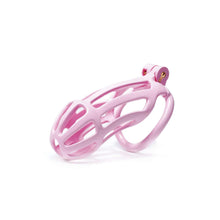 Load image into Gallery viewer, Maxi | Pink Stripe Cobra Chastity Kits
