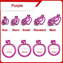 Lade das Bild in den Galerie-Viewer, Stripe Cobra Keuschheitskäfig mit 4 Bogenringen