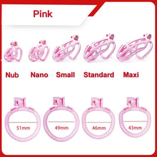 Lade das Bild in den Galerie-Viewer, Stripe Cobra Keuschheitskäfig mit 4 Bogenringen