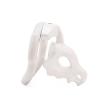 Load image into Gallery viewer, 3D Dino Skull Chastity Cage
