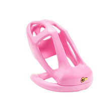 Load image into Gallery viewer, Skull Cutout Resin Chastity Cage with Four-Ring Set
