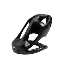 Load image into Gallery viewer, Skull Cutout Resin Chastity Cage with Four-Ring Set
