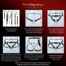 Load image into Gallery viewer, Six illustrated assembly steps for support belt; demonstration cage not included
