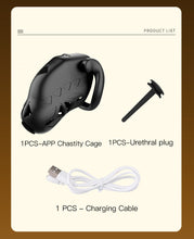 Lade das Bild in den Galerie-Viewer, Lockink App Chastity Cage Remotely - product list
