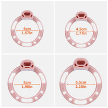 Load image into Gallery viewer, Beast Dragon Textured ABS Chastity Cage
