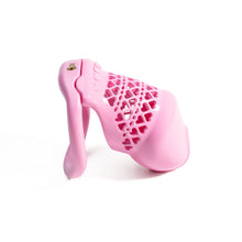 Load image into Gallery viewer, Beginner 3D Resin Chastity Cage
