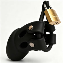 Load image into Gallery viewer, Black cage with brass padlock
