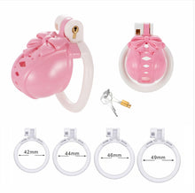 Afbeelding in Gallery-weergave laden, Bow Pot Lid Chastity Cage 9

