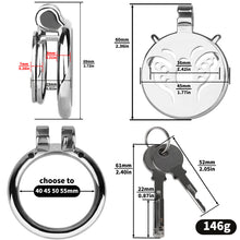 Load image into Gallery viewer, Butterfly Flat Chastity Lock - 3
