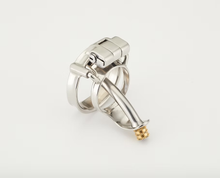 Load image into Gallery viewer, Urethral T18 – Custom Chastity Restraint
