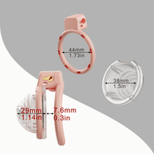 Lade das Bild in den Galerie-Viewer, Modular Conch ABS Chastity Cage
