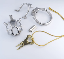 Afbeelding in Gallery-weergave laden, Steel Custom Chastity Cage With PA T14 - 2
