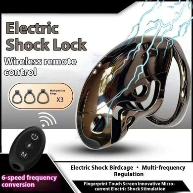 Hundred Beasts Electric Remote Control Chastity Cage 1