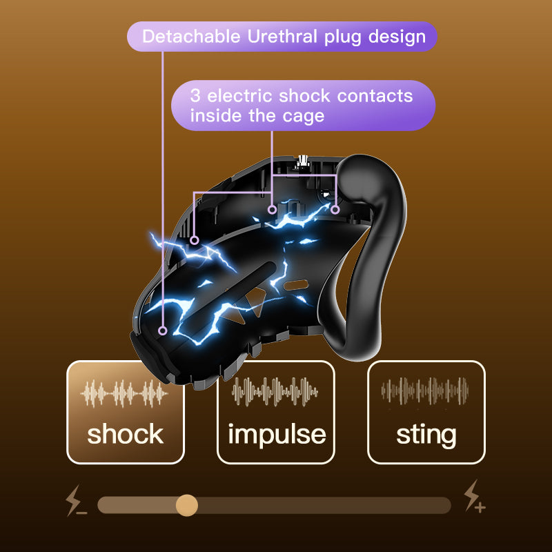 Chaster App App-Controlled Remote Chastity Cage – chastity-devices