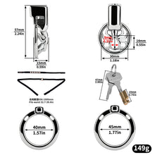 Lade das Bild in den Galerie-Viewer, Night Silver Spider Flat 304 Stainless Steel Chastity Cage

