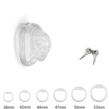 Lade das Bild in den Galerie-Viewer, Clear Generation 2 openwork cage with six base rings
