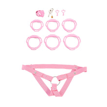 Lade das Bild in den Galerie-Viewer, Oval ventilated cage configuration 13 and included accessories

