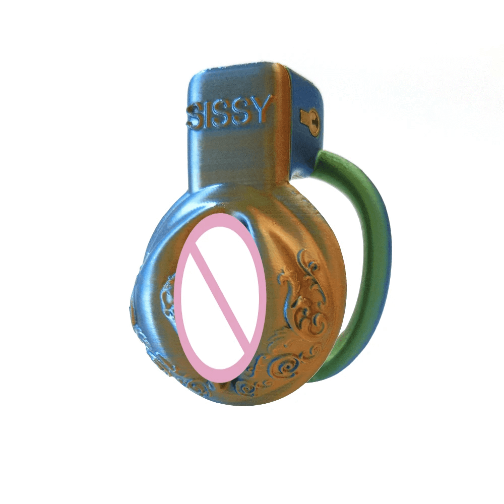 Pussy Vaginal Mix Color Chastity Cage