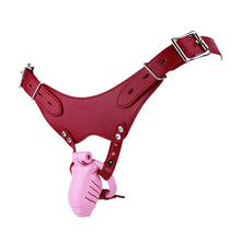 Lade das Bild in den Galerie-Viewer, RealFeel Resin Chastity Cage
