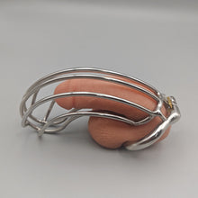 Lade das Bild in den Galerie-Viewer, So Big Steel Chastity Cage
