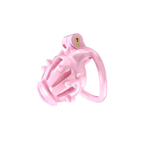 Load image into Gallery viewer, Stripe Cobra Chastity Kits with Spikes pegs
