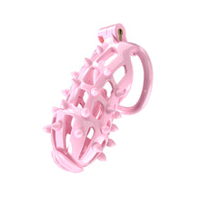 Load image into Gallery viewer, Stripe Cobra Chastity Kits with Spikes pegs
