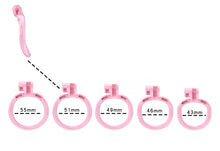 Load image into Gallery viewer, Stripe Cobra Chastity Kits with Spikes pegs

