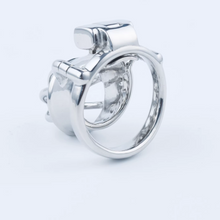 Afbeelding in Gallery-weergave laden, Stainless Steel Custom Chastity Cage With PA T15 - 2
