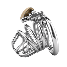 Lade das Bild in den Galerie-Viewer, Stainless Steel PA Chastity Cage with Two Style Options

