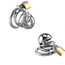 Lade das Bild in den Galerie-Viewer, Stainless Steel PA Chastity Cage with Two Style Options
