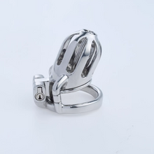 Afbeelding in Gallery-weergave laden, Steel Custom Chastity Cage With PA T10 - 1
