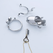 Afbeelding in Gallery-weergave laden, Steel Custom Chastity Cage With PA T12 - 4
