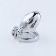 Afbeelding in Gallery-weergave laden, Steel Custom Chastity Cage With PA T12 - 1

