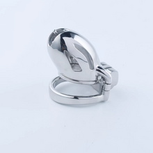 Afbeelding in Gallery-weergave laden, Steel Custom Chastity Cage With PA T12 - 2
