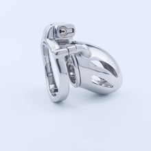 Afbeelding in Gallery-weergave laden, Steel Custom Chastity Cage With PA T12 - 6
