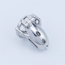 Afbeelding in Gallery-weergave laden, Steel Custom Chastity Cage With PA T12 - 3
