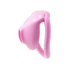 Lade das Bild in den Galerie-Viewer, Super Little Bird Chastity Cage 1
