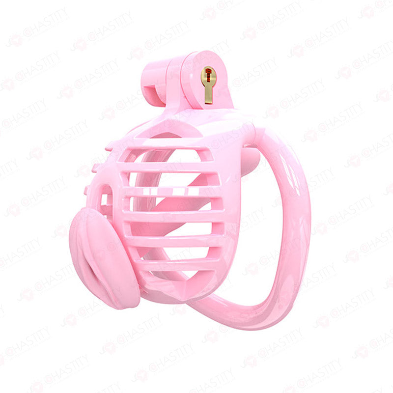 Small Chastity Cage 5 Colors to choose